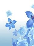 pic for fiori blue